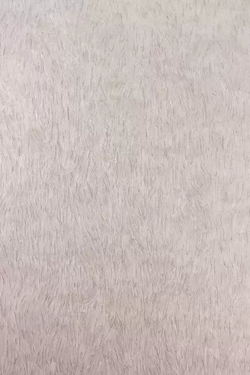 Falcon  Wallpaper | Osborne & Little Europe