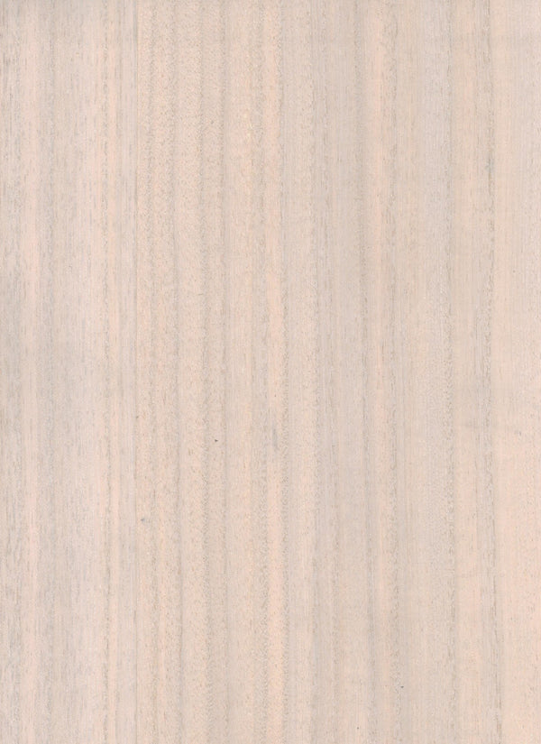 Camden-Blush Wood Veneer Wallcovering | Phillipe Romano