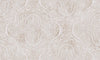 Voluta Silver