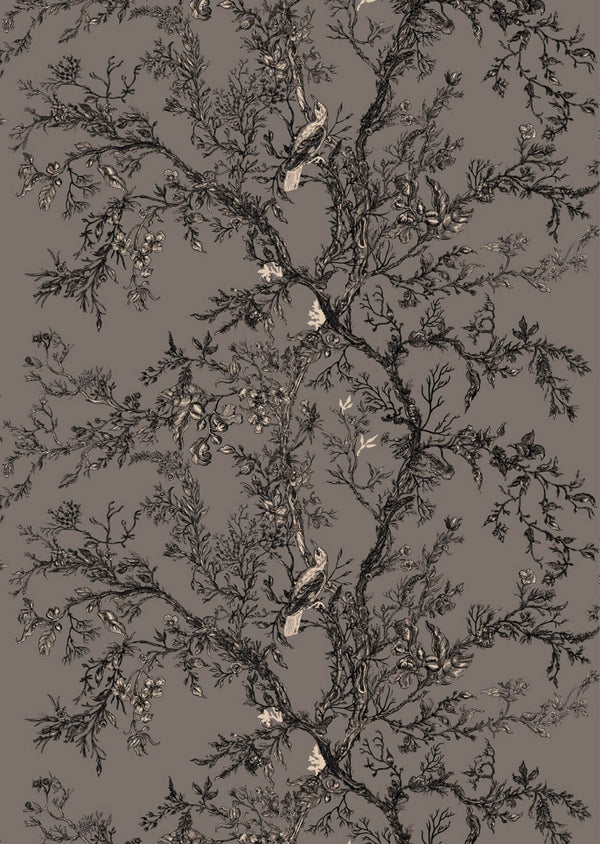 Golden Oriole Superwide Wallcovering Dark Grey | Timorous Beasties