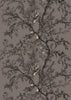 Golden Oriole Superwide Wallcovering Dark Grey