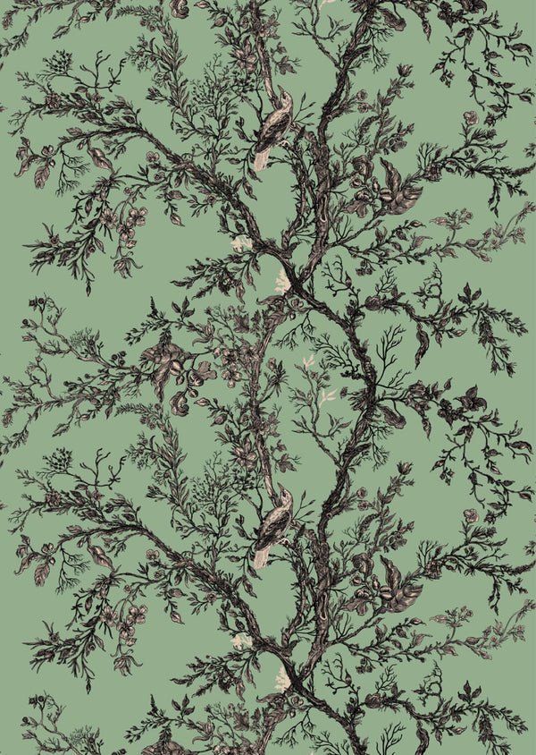 Golden Oriole Superwide Wallcovering Georgian Mint | Timorous Beasties