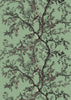 Golden Oriole Superwide Wallcovering Georgian Mint