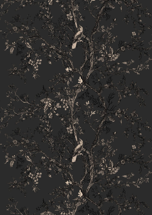 Golden Oriole Superwide Wallcovering Black | Timorous Beasties