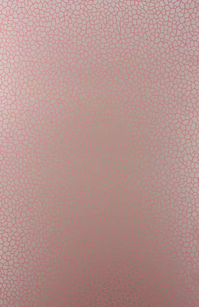 Kairi Butterfly Wings Red Wallpaper | Osborne & Little Europe