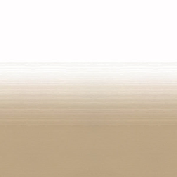 Carnegie Ombre 10
