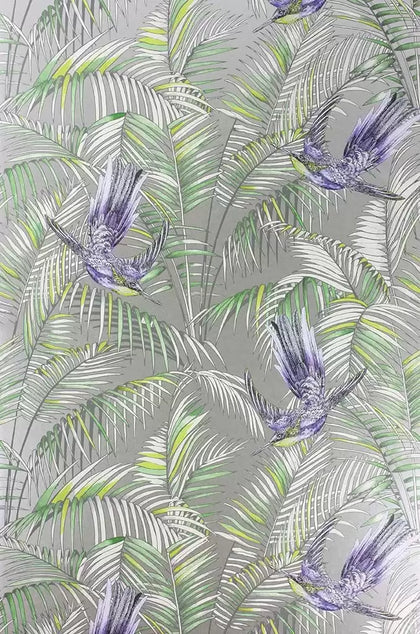 Sunbird Leaves Birds Branches | Osborne & Little Europe
