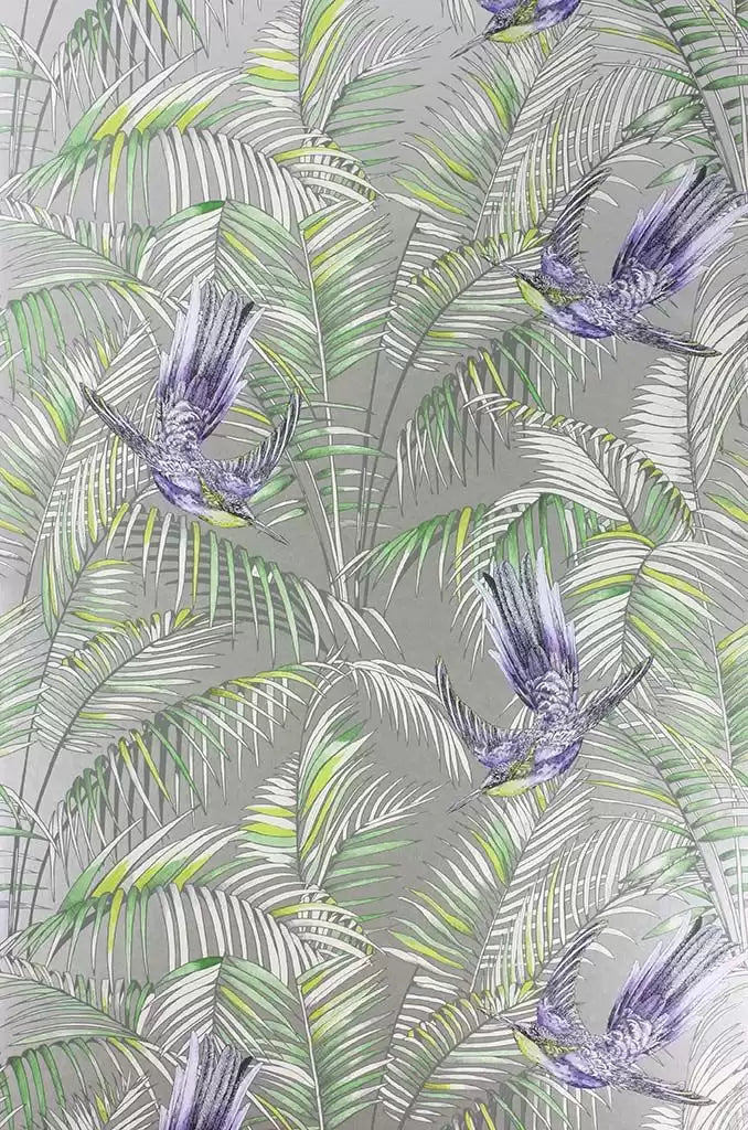 Sunbird Leaves Birds Branches  Wallpaper | Osborne & Little Europe
