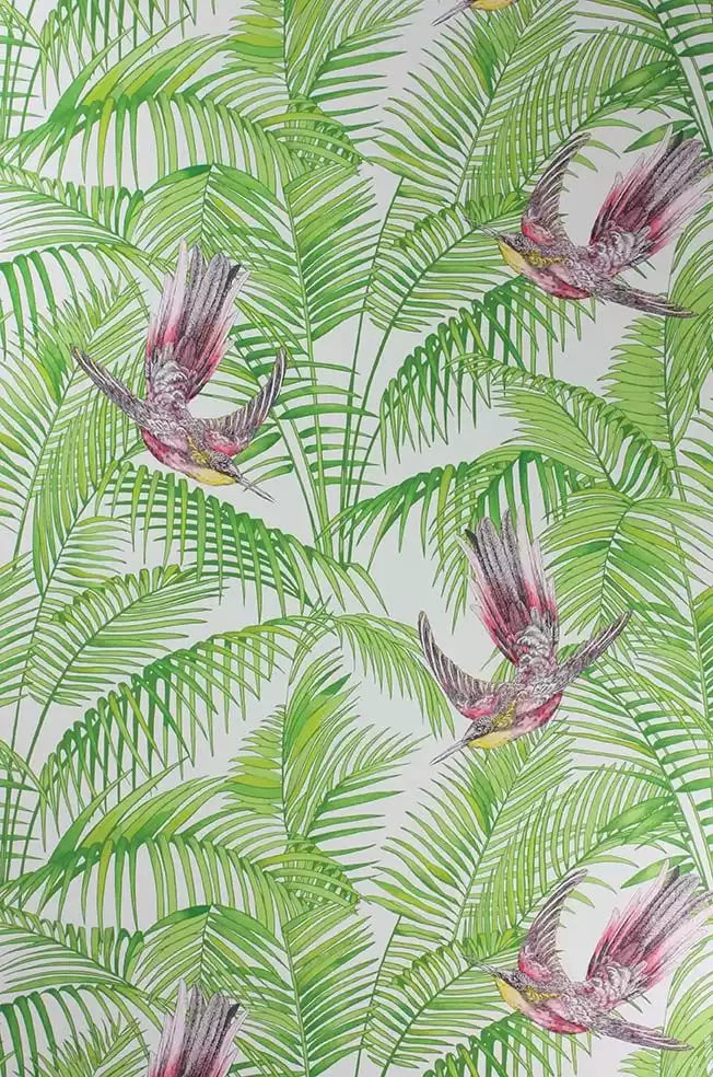 Sunbird Leaves Birds Branches Green Wallpaper | Osborne & Little Europe
