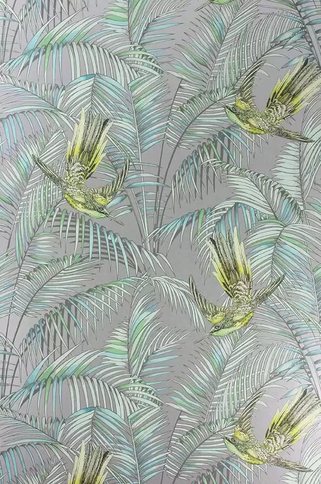 Sunbird Leaves Birds Branches Grey Wallpaper | Osborne & Little Europe