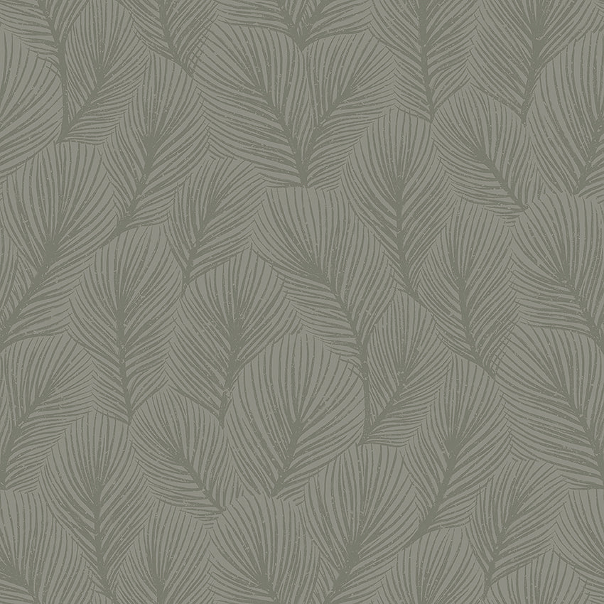 Pine Tree, Sage