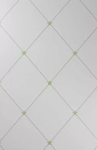 Torosay 03  Wallpaper | Nina Campbell Europe