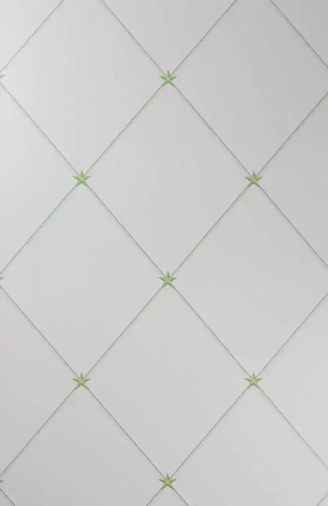 Torosay 03  Wallpaper | Nina Campbell Europe