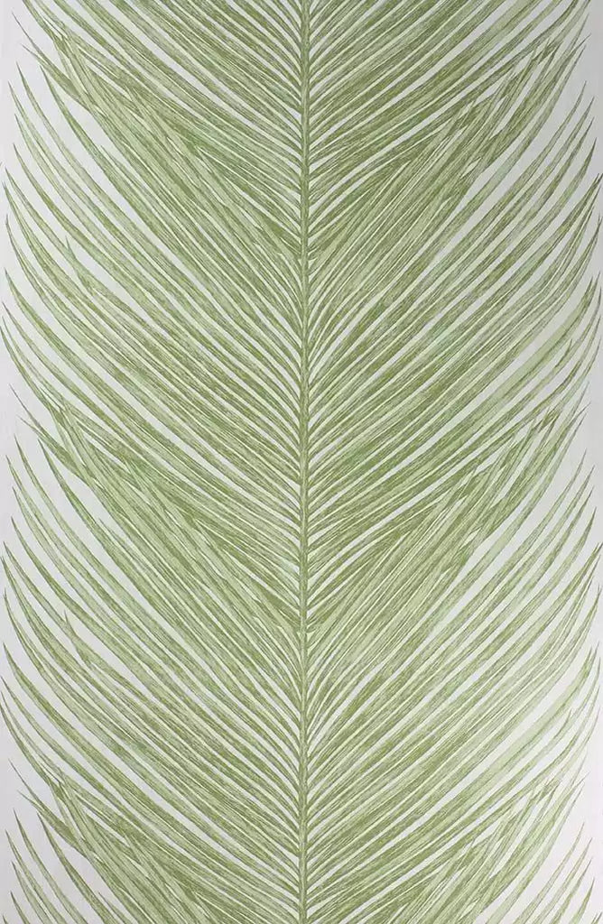 Mey Fern 03  Wallpaper | Nina Campbell Europe