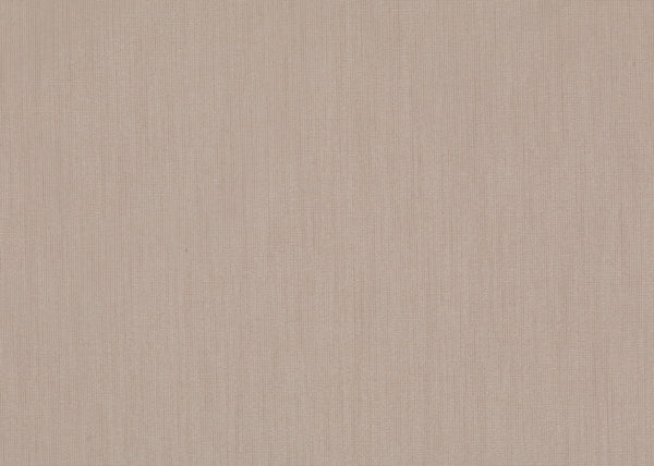 Carnegie Pureacoustic 4