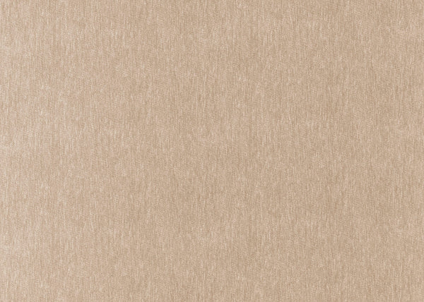 Carnegie Vista II 4