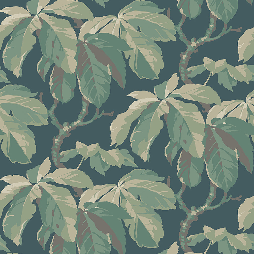 Kastanj, Spruce
