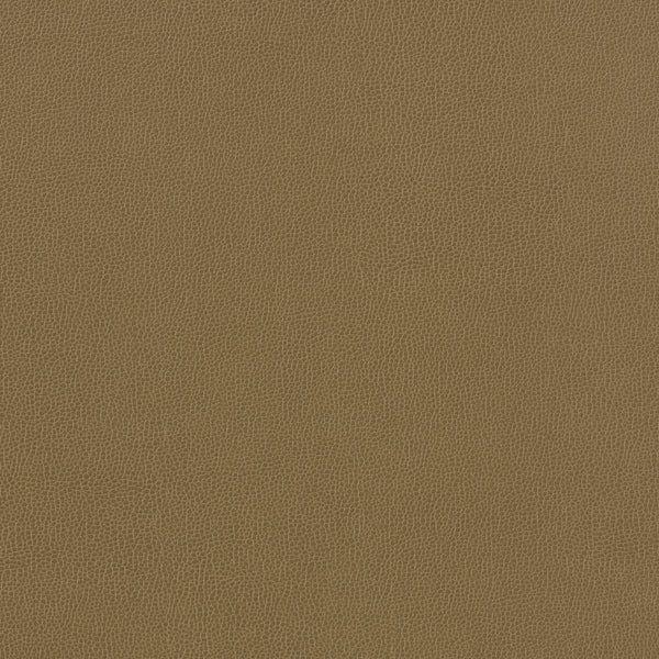 Carnegie Siltech Grain - Color 23