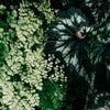 Walls By Patel 3 Green Wallcovering | AS Creation