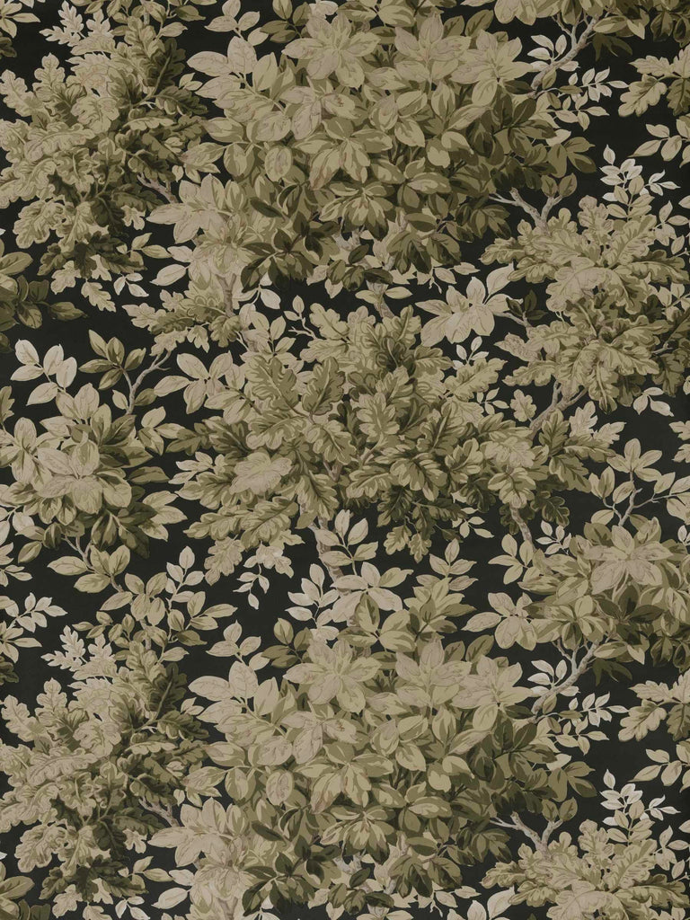 Audra Olive | Fabricut