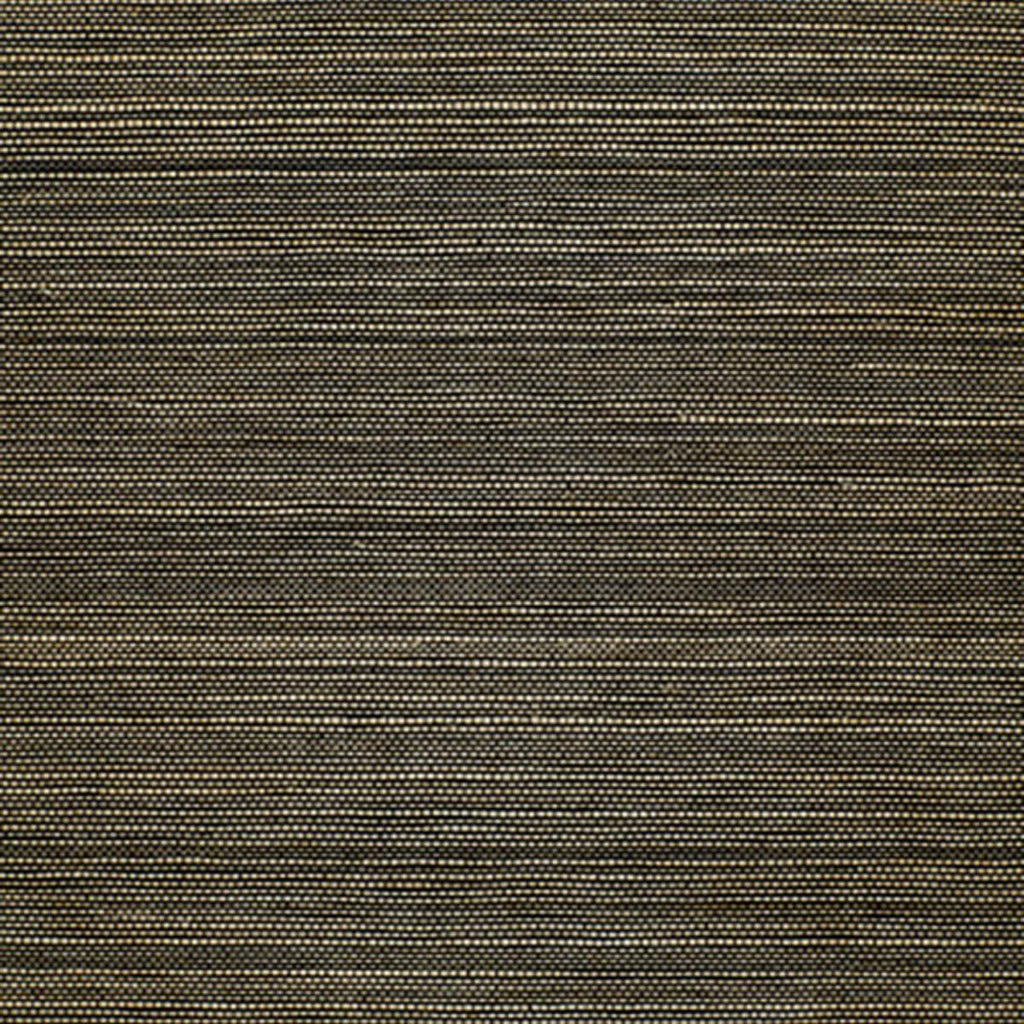 Celebes Sisal Lichen