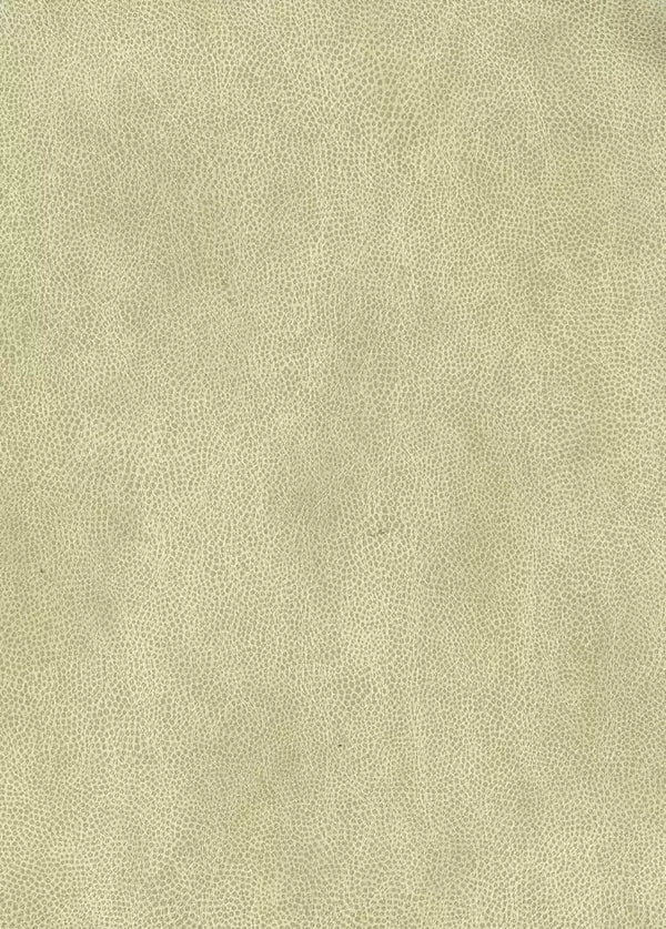 Mako Vinyl Gold | Osborne & Little Europe