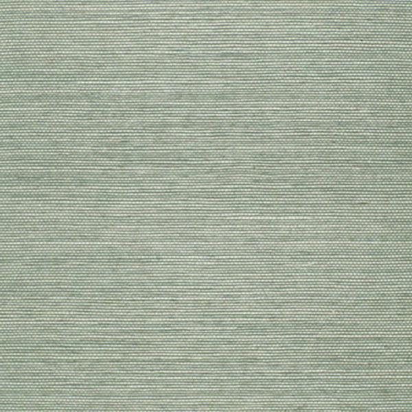Onna Sisal - Aqua Wallcovering | Schumacher