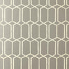 Modern Trellis Silver