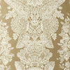 Lace Champagne
