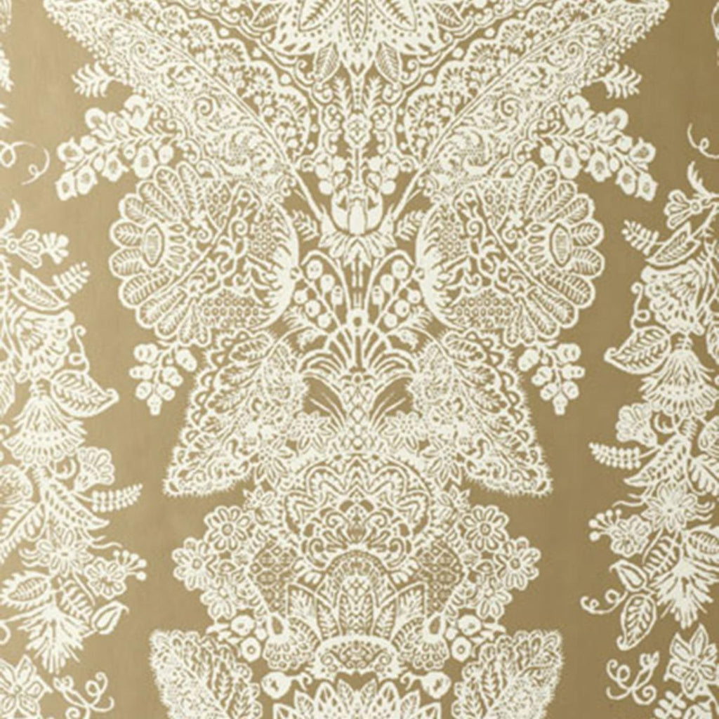 Lace Champagne