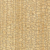 Masaccio Ground Bisque
