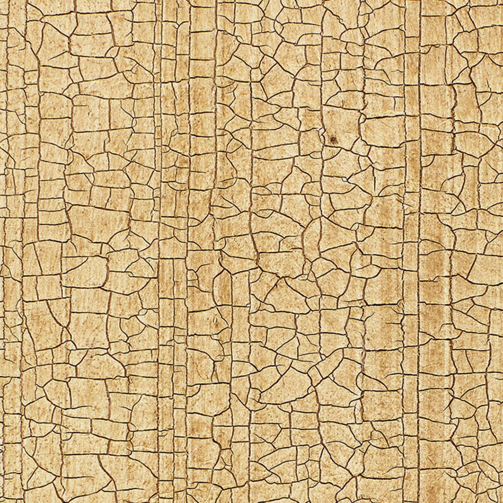 Masaccio Ground Bisque