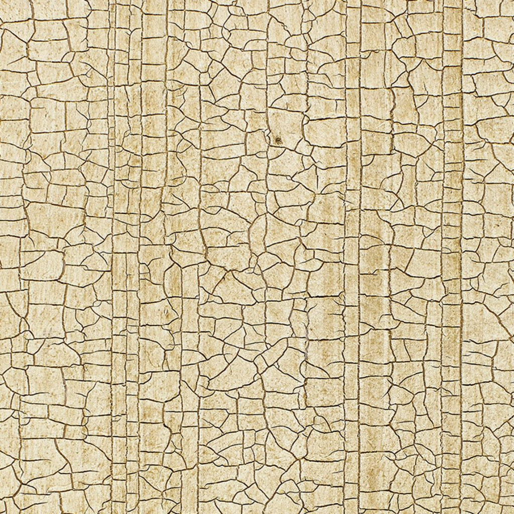 Masaccio Ground Champagne