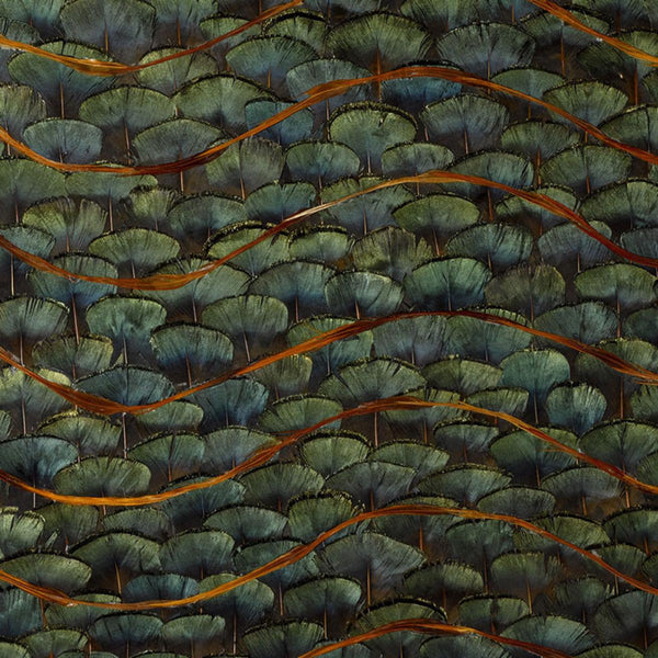 Emerald Bay - Peacock Wallcovering | Schumacher