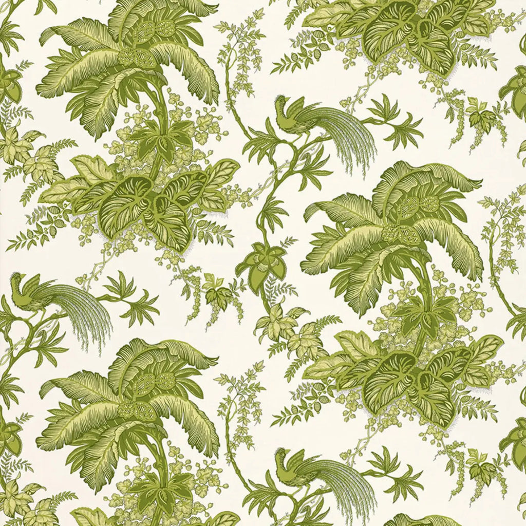 Coconut Grove - Leaf Wallpapers