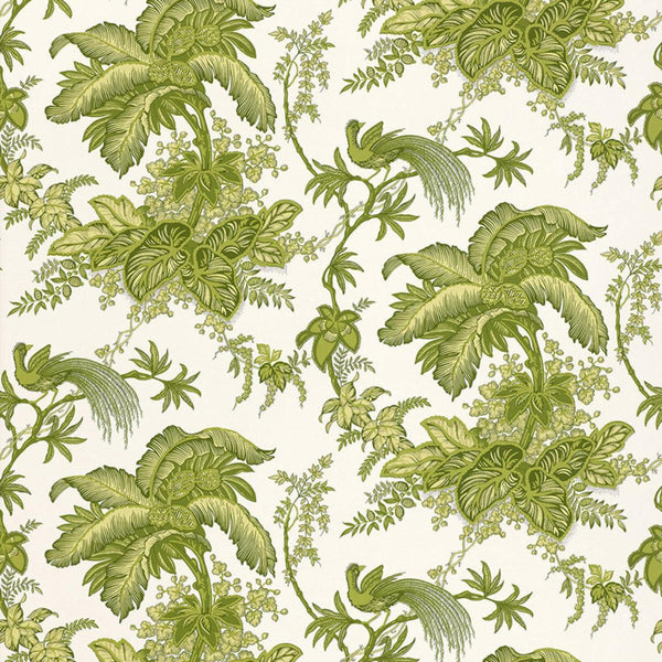 Coconut Grove - Olive Green Wallcovering | Schumacher