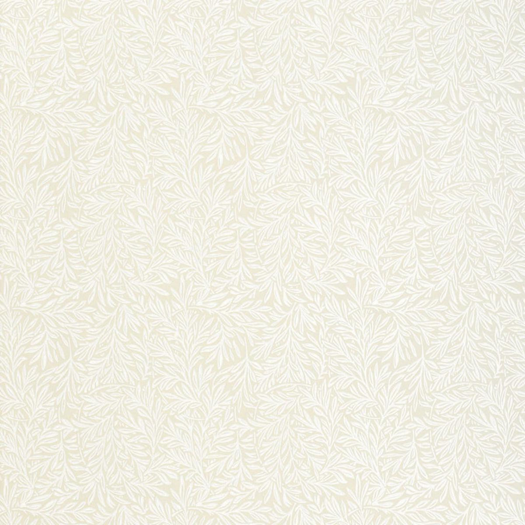 Willow Leaf Flax