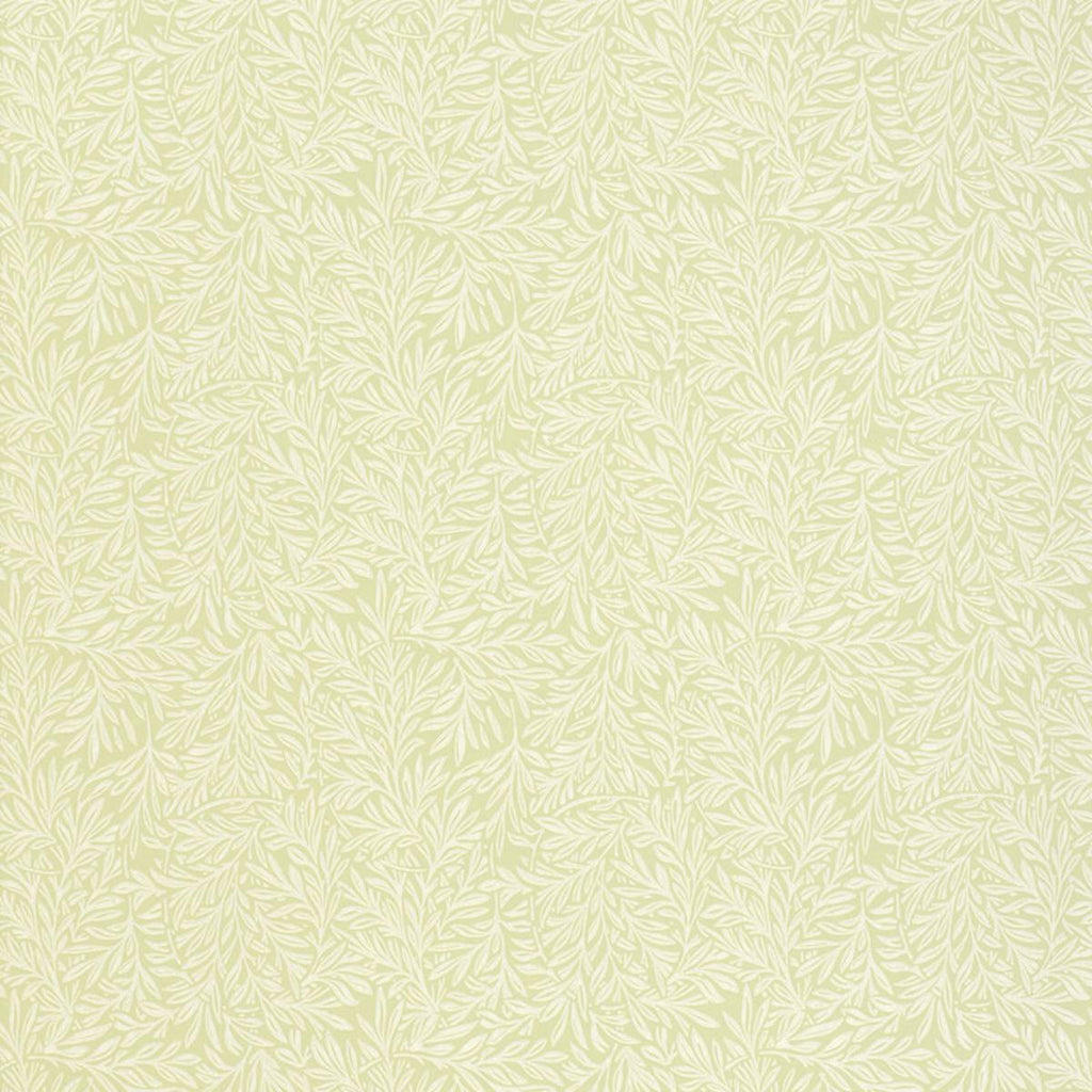 Willow Leaf Sage