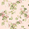 Viburnum - Blush Wallpapers