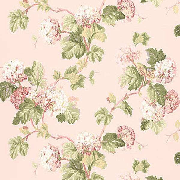 Viburnum - Blush Wallcovering | Schumacher