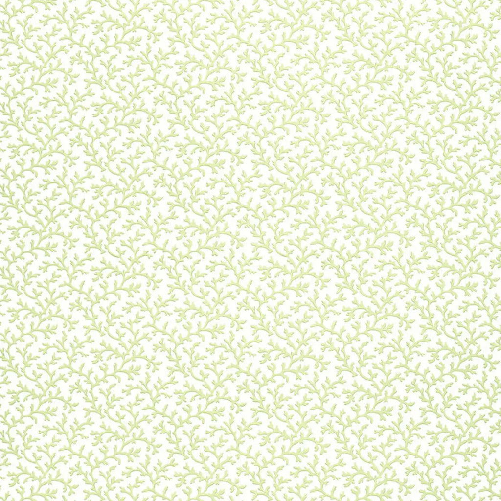 Coral Vine - Aloe Wallpapers