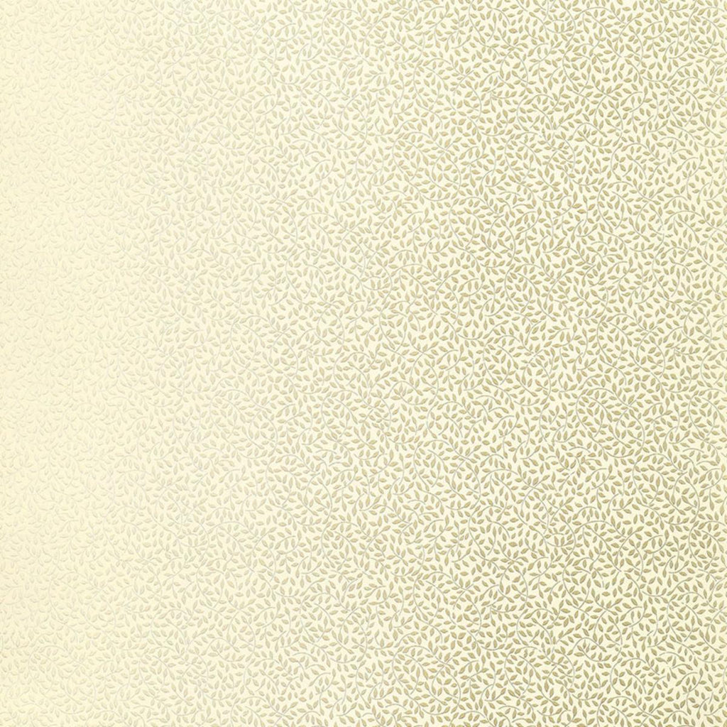Celano Vine Mineral