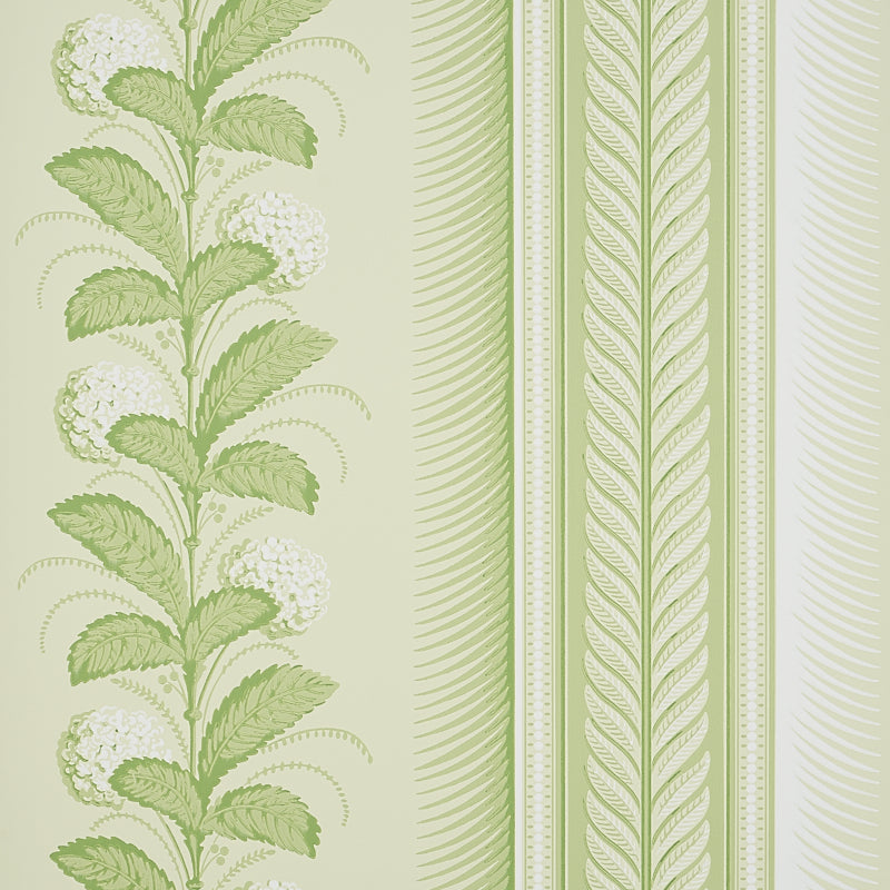 Hydrangea Drape, Green