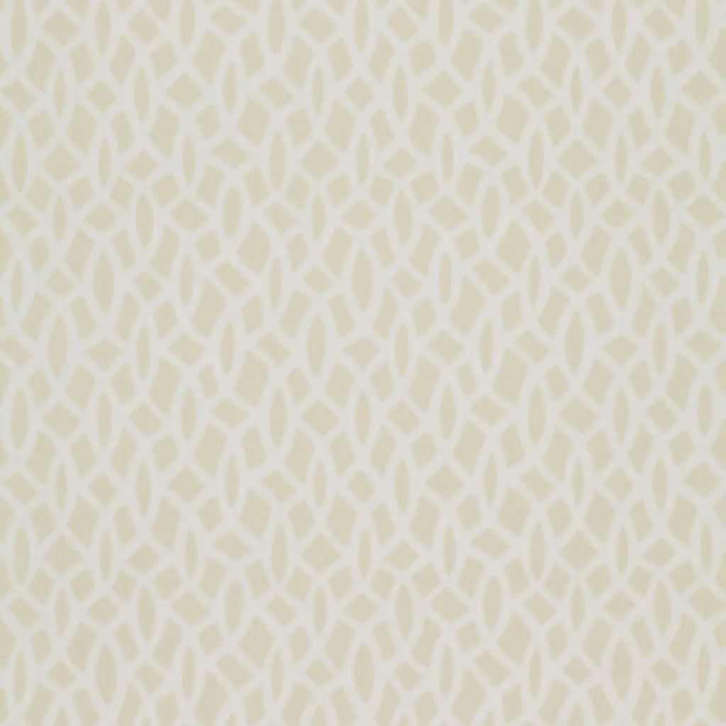 Chain Link - Bone Wallpapers