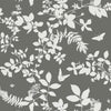 Shadow Vine Charcoal