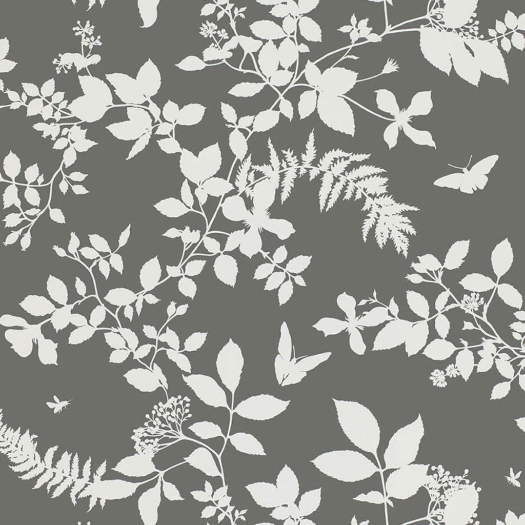 Shadow Vine Charcoal