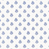 Kaladera Delft