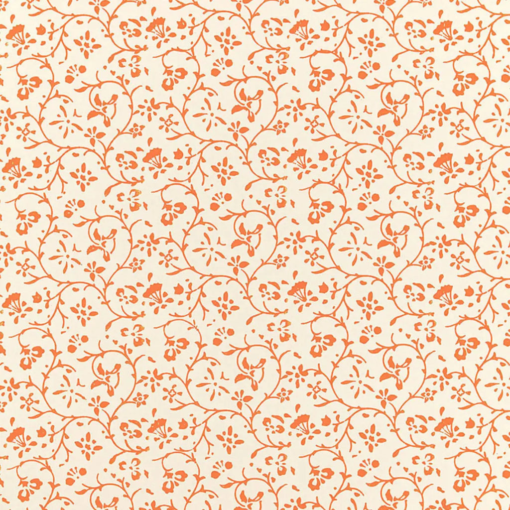 Kyara Vine - Valencia Wallpapers