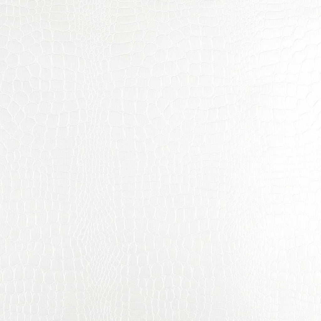 Crocodile White