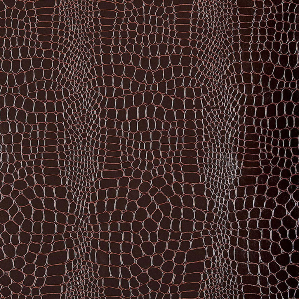 Crocodile Java